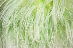 La Coffabag Verde Lime